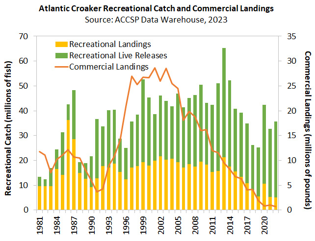 A graph showing Atlantic Croaker Recreational Catch and Commercial Landings for 2023