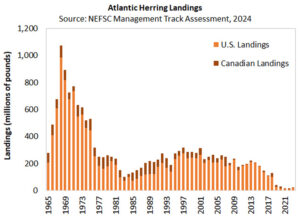 Atlantic Herring - Atlantic States Marine Fisheries Commission
