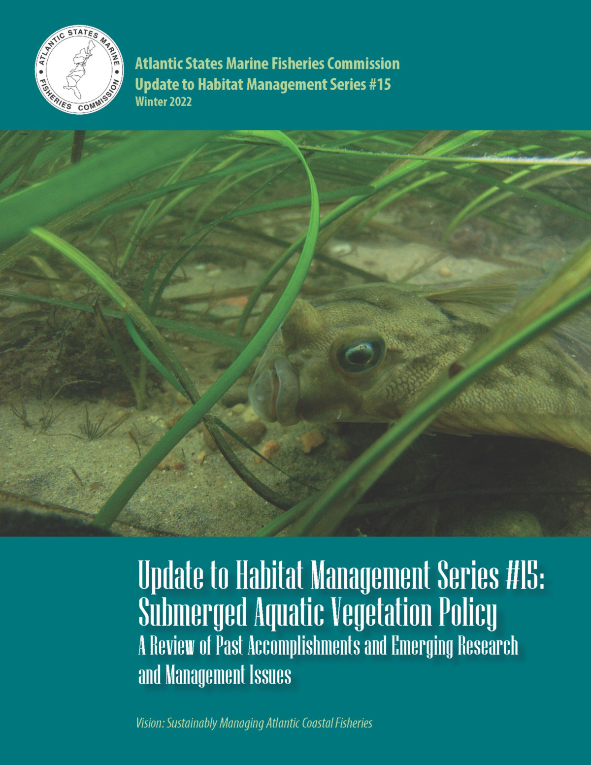 Cover image from the report Submerged Aquatic Vegetation Policy: A Review of Past Accomplishments and Emerging Research and Management Issues