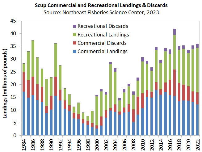 Chart of Scup landings