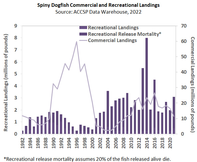 Chart of landings for Spiny Dogfish