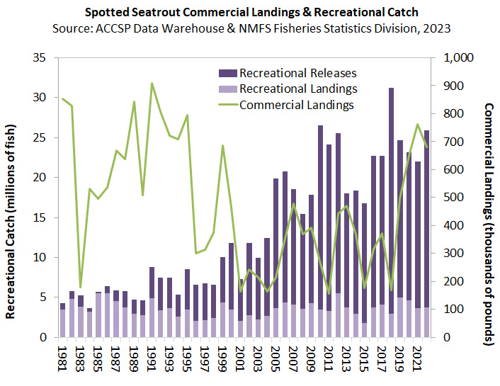 Chart of landings for Spotted Seatrout