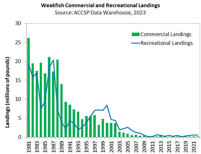 Chart of landings for Weakfish
