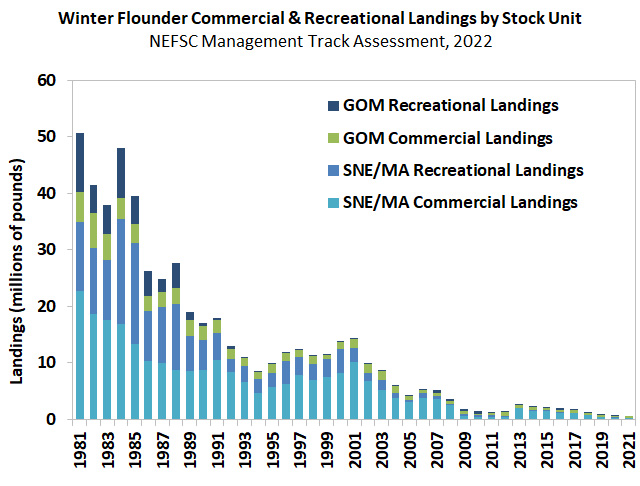 Chart of landings for Winter Flounder, 2022