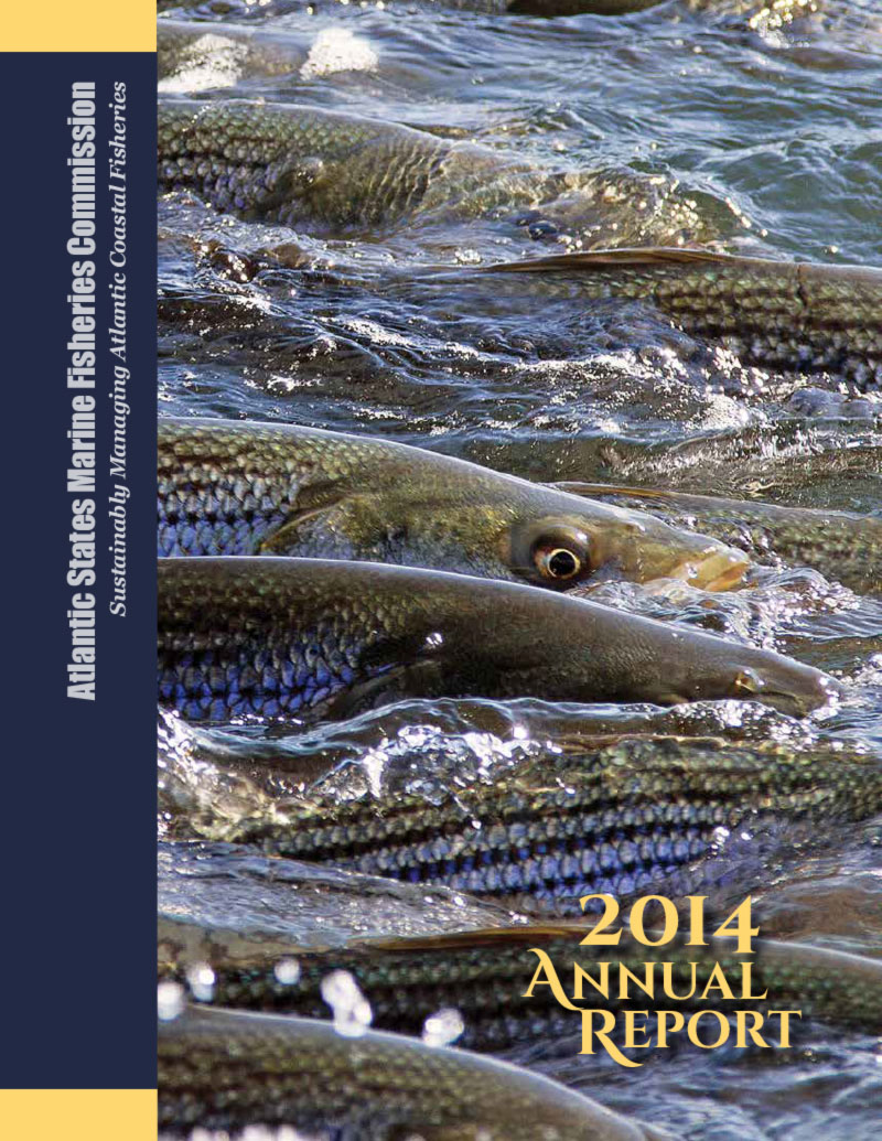 2014 Annual Report