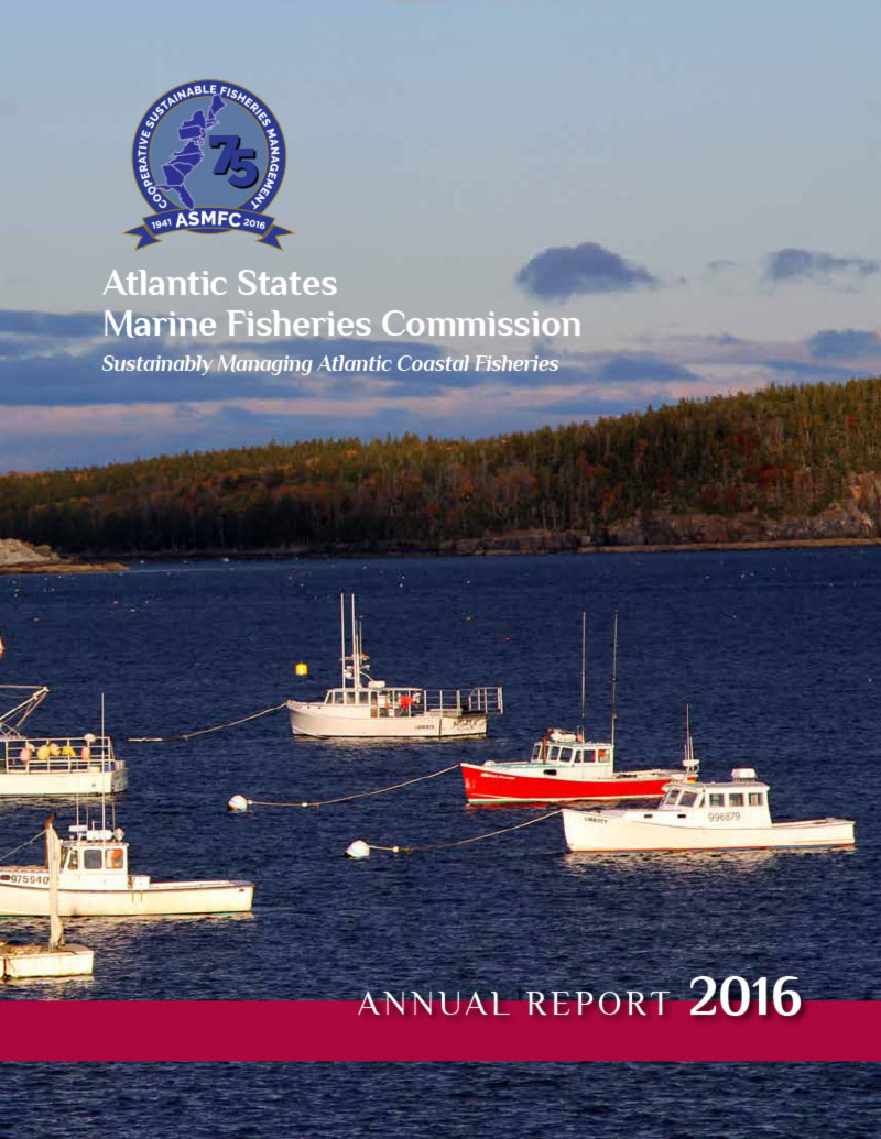 2016 Annual Report