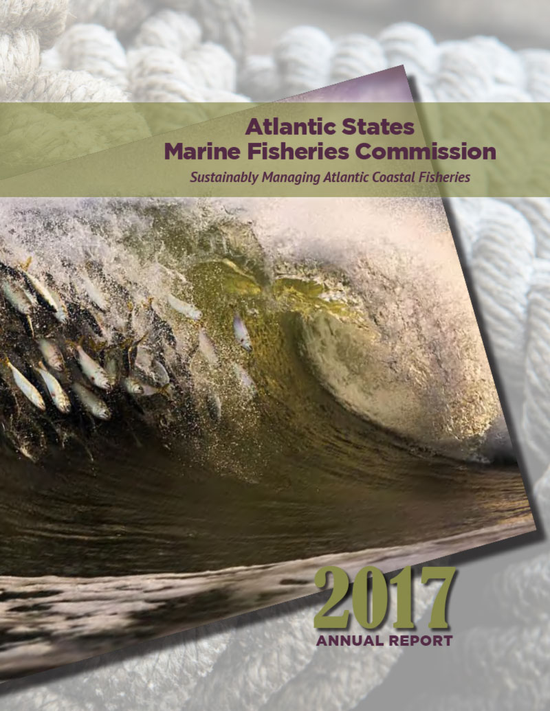 2017 Annual Report