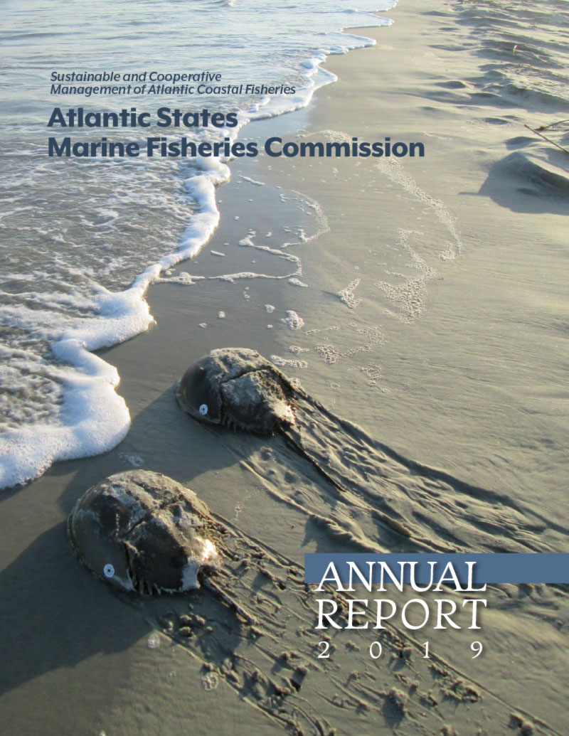 2019 Annual Report