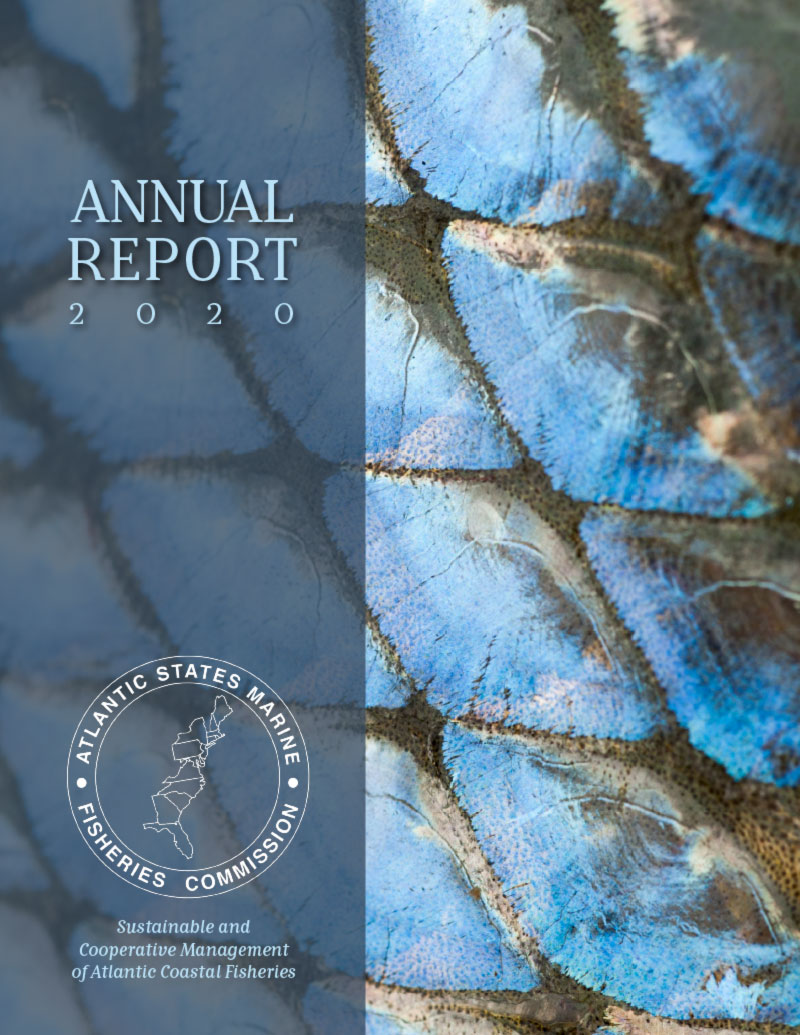 2020 Annual Report