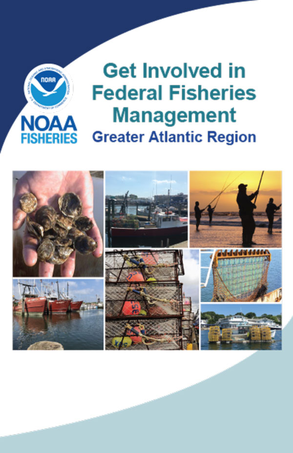 Get Involved in Federal Fisheries Management: Greater Atlantic Region