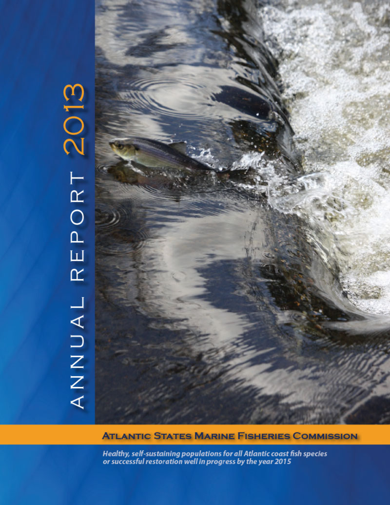 2013 Annual Report