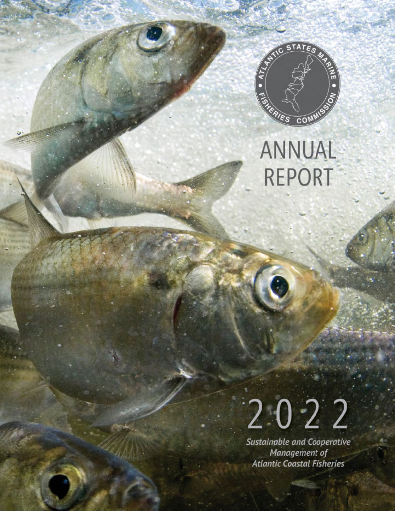 2022 Annual Report