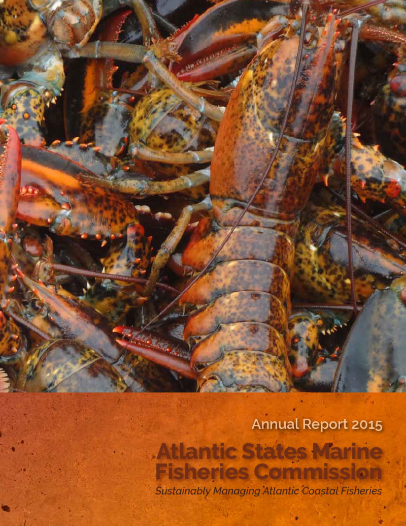 2015 Annual Report