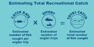Recreational Data Collection - Atlantic States Marine Fisheries Commission