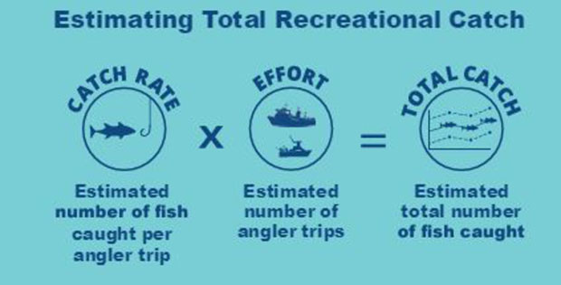 Estimating Total Recreation Catch formula: Catch Rate (estimated number of fish caught per angler trip) multiplied by Effort (estimated number of angler trips) equals Total Catch (estimated total number of fish caught)