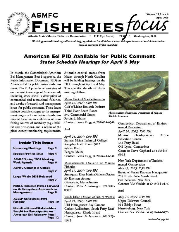 Fisheries Focus — April 2005 issue